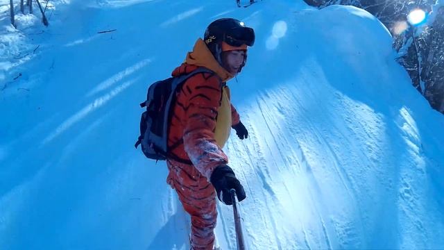 Тигра в лесу, Домбай смотреть онлайн