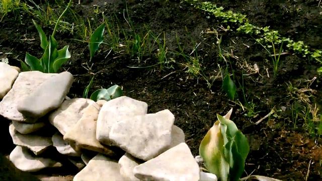 Наглядный пример работы дренажа из под фундамента дома. смотреть онлайн