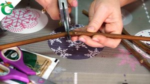 Как укоренить черенок винограда в воде ✿