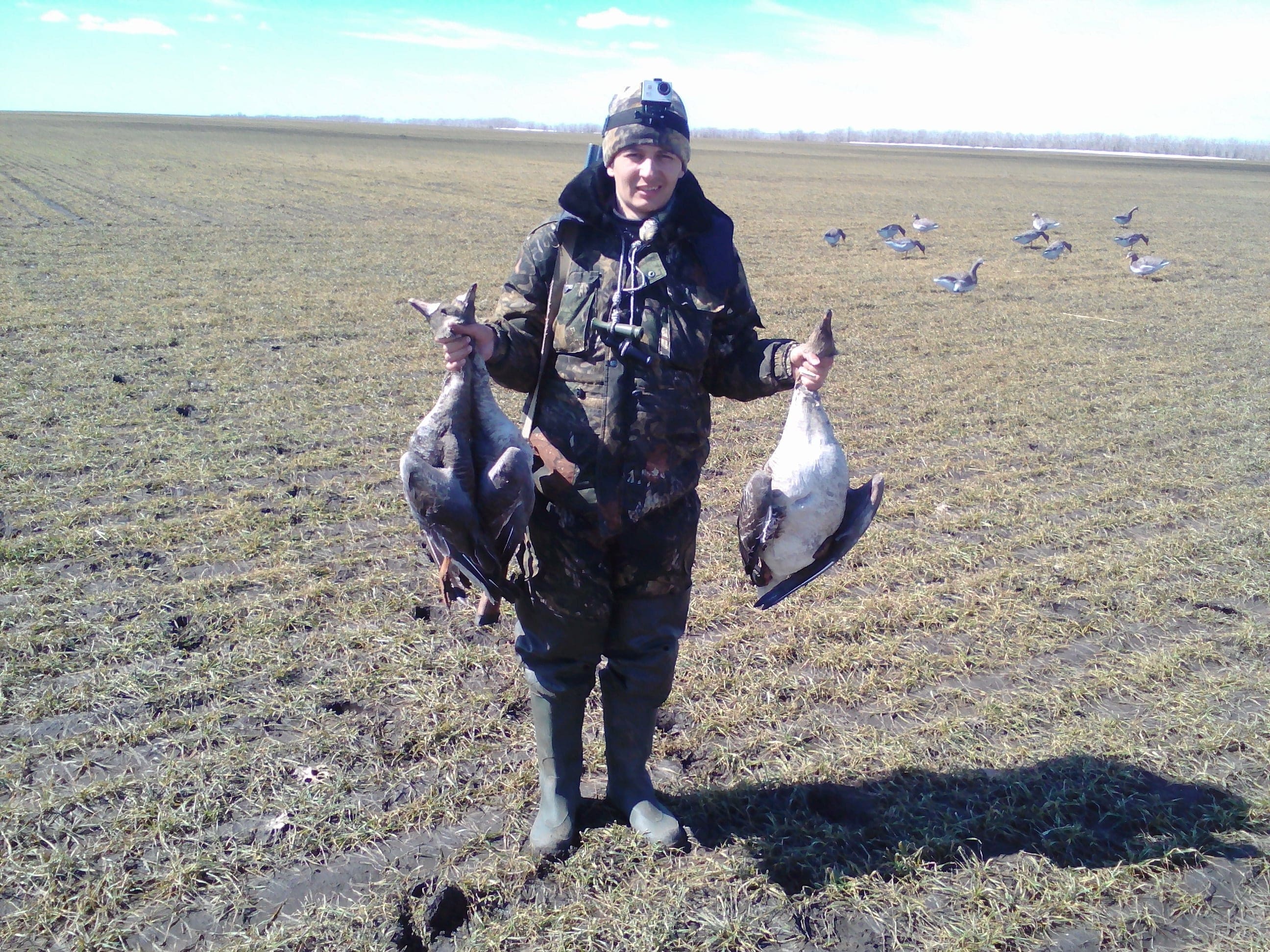 Охота на гуся. Первые наши гуси смотреть онлайн