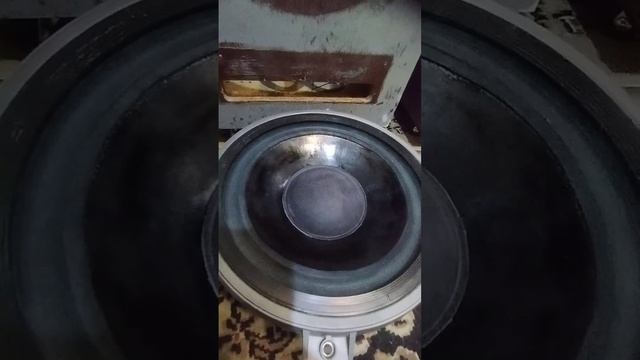 Реставрация Амфитрион 50АС-022 смотреть онлайн