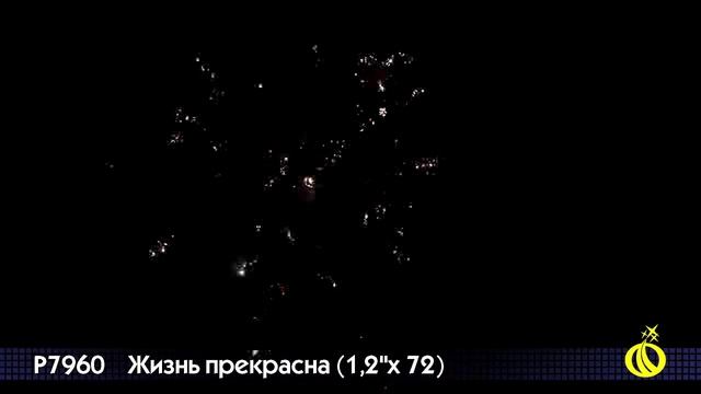 Фейерверк Жизнь прекрасна P7960 смотреть онлайн