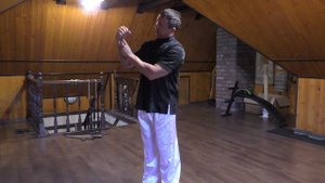 Урок 29穿 心中拳Срединный Кулак, Пронзающий Сердце/Lesson 29穿 心中拳 The Middle Fist That Pierces The Hear