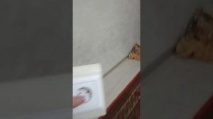 Розетка в плинтус