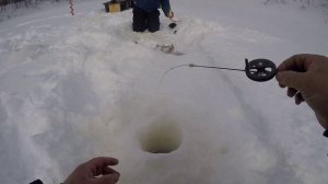 Отрыв по хищнику, рыбалка с ночёвкой день первый.