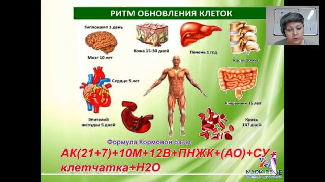 Елена Носова. Почему мы больны и бедны. смотреть онлайн