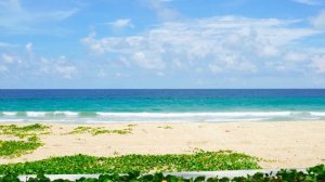 Тёща, Зять и их тайна, произошедшая на даче.