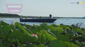 Главные природные достопримечательности Краснодарского края. ТОП-ТОП 10