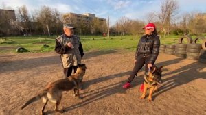 Щенок не подходит на прогулке | Дрессировка собак