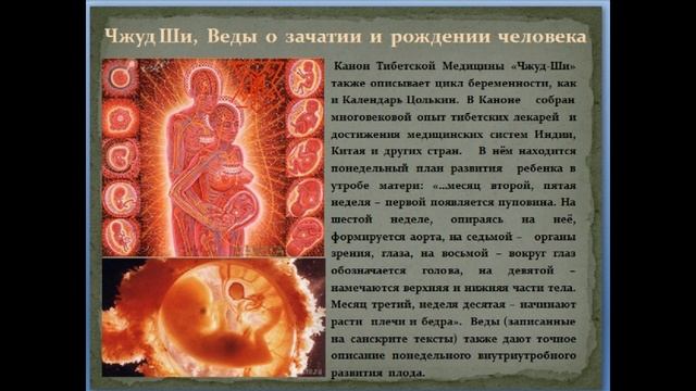 Календарь Майя Цолькин смотреть онлайн