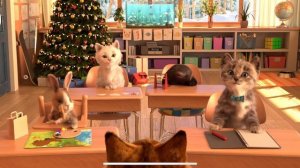 CUTE LITTLE KITTEN ADVENTURE - CAT FUN AND PET CARE - CATS AND KITTENS #kitten