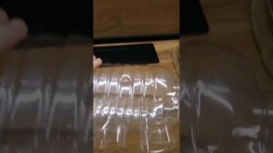 Кормушка с защитой от голубей