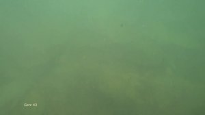 Кабардинка пляж Start Energy Camp