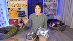 ПРОВЕРИЛИ ЛАЙФХАКИ для ЖИВОТНЫХ Трум Трум! 7 ЛАЙФХАКОВ ДЛЯ СОБАКИ И КОШКИ