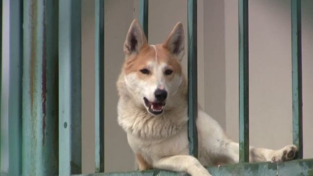 Отпуск в Беларуси (ч. 1) смотреть онлайн