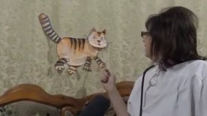 Строение кошки