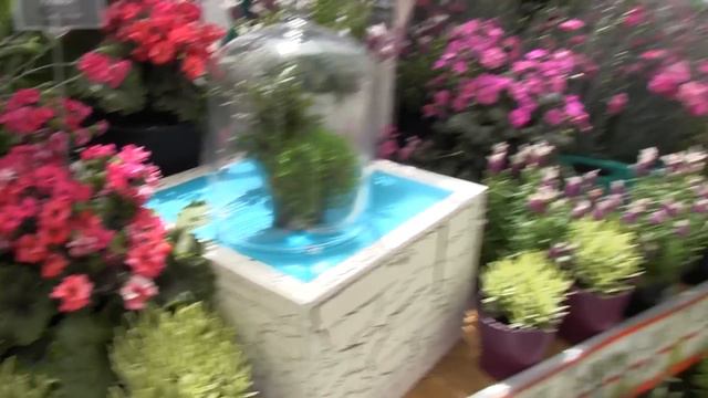 2013 Spring Trials: Pacific Plug & Liner смотреть онлайн