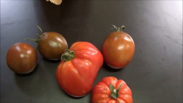 Цены на продукты питания - 15/ Бельгия /август 2017-часть 4 смотреть онлайн