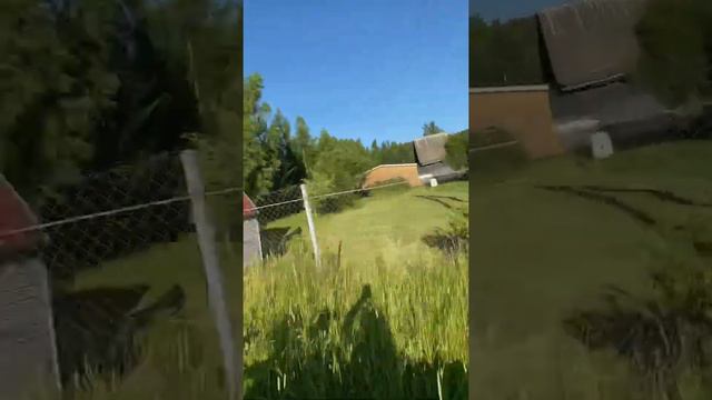 КАК ПОЛУЧАТЬ МНОГО ДЕНЕГ смотреть онлайн