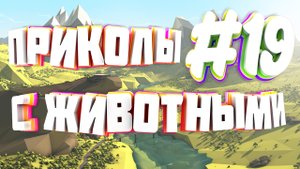 Приколы с животными | Приколы угары | Засмеялся подписался #19