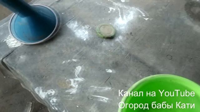 Пионы. Подкормка и уход за пионами для пышного цветения.