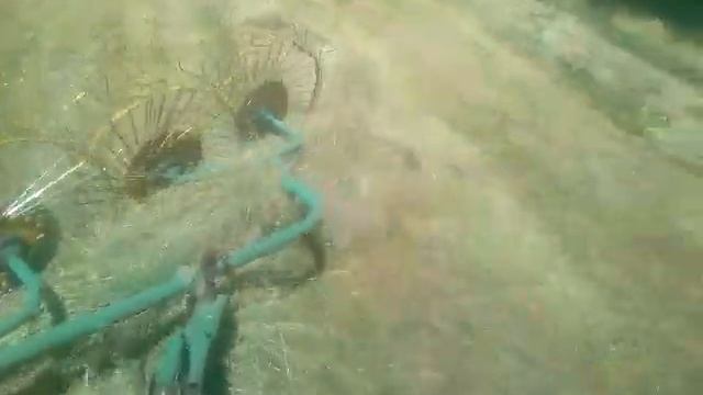 Т-40 АМ Польские грабли. Сгребание сена в валки. 31.05.18 смотреть онлайн