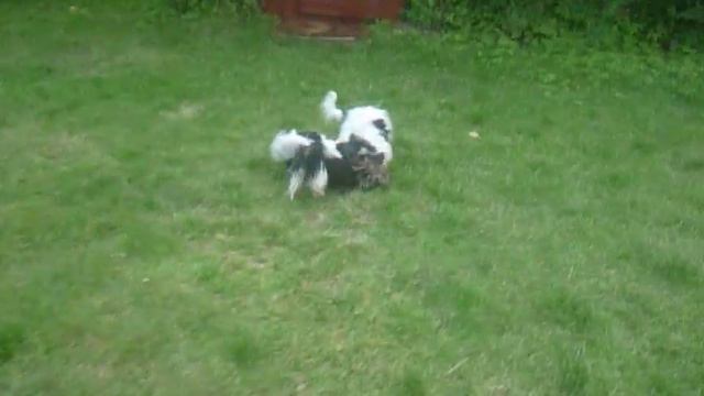 биверы зажигают смотреть онлайн