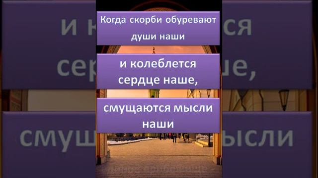 Преподобный Никон Оптинский (О скорбях)