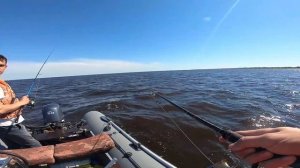 Судак практически на каждом забросе. Ловля судака на Джиг. Рыбалка на Волхове. Щука напала на улов