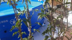 Подиум под каркасный бассейн с куполом