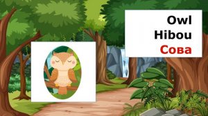 Forest Animals - Animaux de la forêt - Лесные животные : Trilingual educational video for young kid