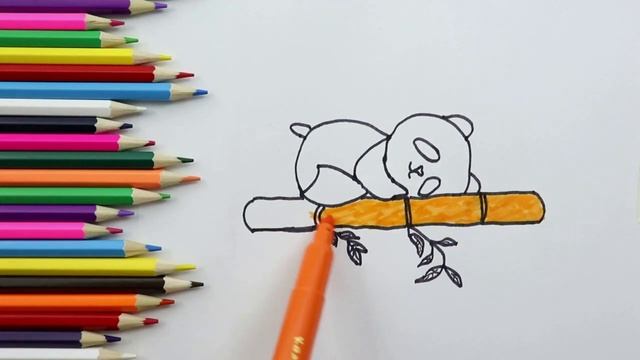 Раскраска для детей МАЛЕНЬКАЯ ПАНДОЧКА !Мультик-раскраска!Учим цвета! КАК  РАЗУКРАСИТЬ ПАНДУ смотреть онлайн