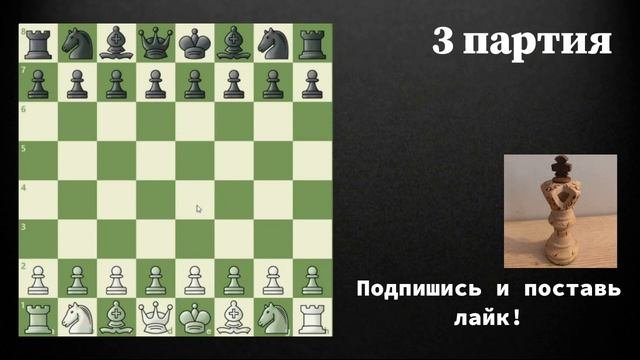 5 ЛУЧШИХ ПАРТИЙ ПО МНЕНИЮ СТОКФИША!