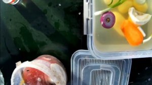 Рыбалка и отдых на Дону, ст Манычевская , май 2018 года