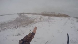 Охота на утку зимой