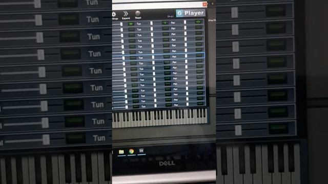 Vst gig GIG file play with g player