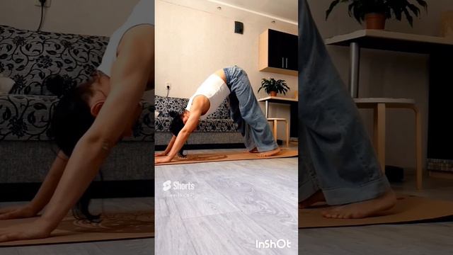 «Адхо Мукха Шванасана» #yoga #йогадома#sports#тренировка #йога#asana