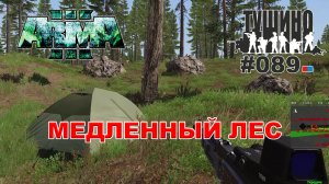 Arma 3 - ТУШИНО СГ: 089 - Медленный лес