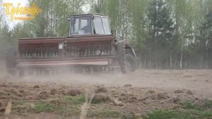 Сеем траву для животных и фацелию для пчел