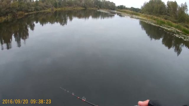Fishing