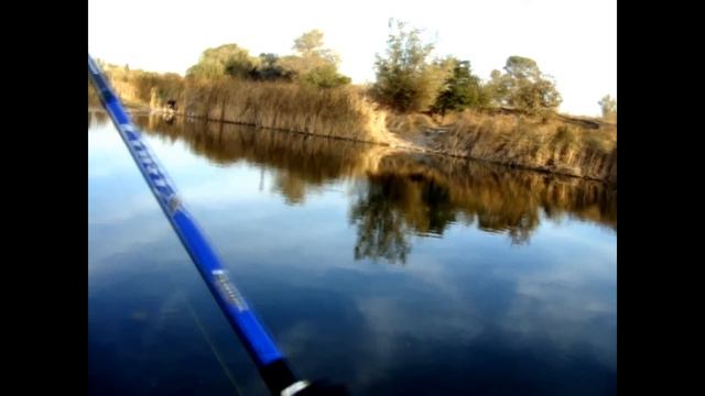 В поисках осеннего окуня. Городская рыбалка. День 1 / Looking autumn perch. City fishing. Day 1 смотреть онлайн