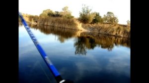 В поисках осеннего окуня. Городская рыбалка.  День 1 / Looking autumn perch. City fishing. Day 1