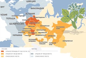 Уничтожение борщевика на испанском языке