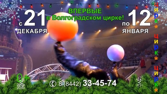 Волгоград цирк смотреть онлайн
