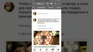 Как найти нужное видео? Помощь - навигация по каналу Ютуб