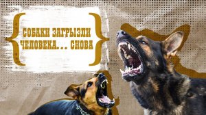 Cтая собак загрызла местного жителя в Астрахани