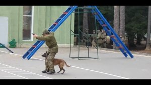Питомник служебных собак