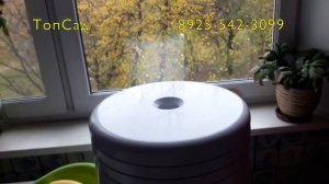Как приготовить ПАСТИЛУ из ВИНОГРАДА и БАНАНОВ? ТопСад!.