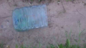 Мышь или землеройка))