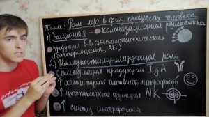 Микрофлора Тела Человека В Различные Возрастные Периоды. Роль НормМикрофлоры В Процессах Организма